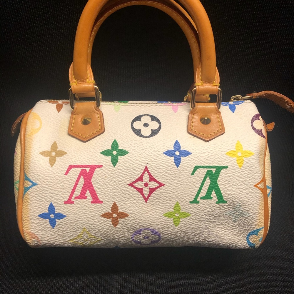 Louis Vuitton multicolor speedy